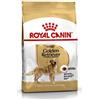 ROYAL CANIN CANE GOLDEN RETRIVER ADULT 3 KG termine minimo di conservazione 22/11/2025