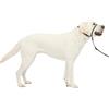 PetSafe Gentle Leader, Collare a cavezza antitiro per cani, la soluzione definitiva antitiro per correggere il cane quando tira, passeggiare senza problemi e riprendere il controllo, L, antracite