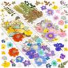 Resiners Fiori Secchi, Resiners 100 Pezzi Fiori Pressati per Resina, Sapone, Candele, Scrapbooking & Biglietti - Set di Fiori e Foglie Naturali Essiccati per Fai-da-te, Artigianato & Decorazioni Gioielli