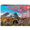 Educa - Puzzle da 2000 pezzi per adulti | Castello di Osaka, Japan | Misura: 96 x 68 cm | Consigliato a partire dai 14 anni (19276)