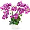 PASCH® Orchidea Artificiale XXL Grande (56 cm) in Vaso di Ceramica Lucida - Fiori Come Veri