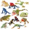 TOYMANY Set di 12 statuette di rana con animali e rane per la foresta pluviale, include rana per gli occhi rossi, decorazioni per torte
