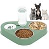 Kakbrt Ciotola per Gatti,3 in 1 Doppio Ciotole per Animali Domestici Acciaio Inossidabile,Alimentatore con Distributore Automatico di Acqua,per Gatti Cuccioli Cani di Piccola Taglia (Verde)