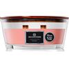 DECO EXPRESS Candele Profumate Stoppino Scoppiettante Candela Lunga Durata Fino a 50 Ore, Regalo per San Valentino o Festa della Mamma (Gelsomino pesca)