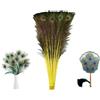 SMTCM 5 piume di pavone naturali, lunghezza 80-90 cm, vere piume di coda di pavone, piume di pavone, per creare bellissimi occhi, piume, decorazioni per vasi, oggetti di scena fai da te, matrimoni, feste