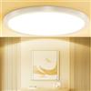 Taipow 18W 2448LM 3000K Plafoniera Led Soffitto Moderna, IP44 Lampada da Soffitto Rotonda per Garage Corridoio Bagno Camera da letto Cucina Seminterrato Ø22CM