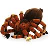 My Pet Elephant Sunny Toys 34160 - Peluche Ragno, Circa 32 cm