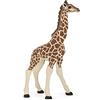 PAPO - Statuina Cucciolo di Giraffa Realistica - 3 Anni + - Collezione Vita Selvaggia - Gioco Educativo Giovani Animali Africani - Idea Regalo Giocattolo Bambina Bambino