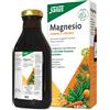 SALUS HAUS Gmbh & Co KG SALUS MAGNESIO 250 ML