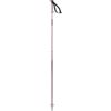 Salomon Polar, Alpine Poles WSE, Black, 100