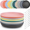 SHILIPAIJC 10 Pezzi Servizio Piatti in Plastica, Riutilizzabili Piatti Plastica Rigida Lavabili con Forchette da Frutta, Piatti da Campeggio Piatti Melamina per Feste Casa, Microonde e Lavabili in Lavastoviglie