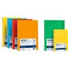 Favini Divisore FAVINI Dividerello 20 tasti raccoglitori 10 col. assortiti 22x30cm 220 gr/mq Conf. 20 pezzi - A56Y304