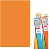 DECO Rotolo di Carta crespa - 50x250 cm - 40 g/m² Deco arancio 10713/05