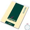 Blasetti Blocco con punto metallico Blasetti Ariston 70 ff quadretti 5M A5 15x21 cm 1066