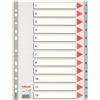 Esselte Divisori per rubrica Esselte A4 PPL numerica 1-12 100106