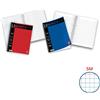 Pigna Blocco spiralato 100 fogli Pigna Liberty a 4 fori A4 5mm 01016515M