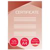 GBC Pouches per plastificatrici a caldo GBC 2X125 µm finitura lucida A4 21,6x30,3 cm - conf. 100 pezzi - 3200723