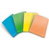 Pigna Cartella a 3 lembi con elastico Pigna Monocromo - A4 26x35,5x1,2 cm dorso 1,2 colori assortiti Fluo - 0227903