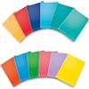 Pigna Maxi quaderno Pigna Monocromo A4 - 80 g/m² - 40+2 ff - 2C - 229887