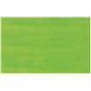 Rex-Sadoch Carta velina Rex-Sadoch 50x70 cm conf. da 26 fogli verde chiaro - KV106371