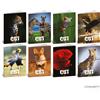 Blasetti Maxi quaderno Blasetti Animal Cut A4 - 80 g/m² - 20 ff - 1R - conf. 10 pezzi - 9241