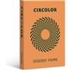Favini Carta colorata Favini Circolor 100% riciclata 80 g/m² A4 - risma da 500 fogli arancio zucca - A71E524