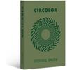 Favini Carta colorata Favini Circolor 100% riciclata 80 g/m² A4 - risma da 500 fogli verde rosmarino - A71D524