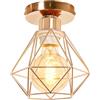 TOKIUS Plafoniera vintage E27 Lampadario Soffitto Industriale Metallo Gabbia ferro Nero per Corridoio Portico Camera da Letto
