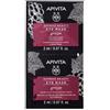 Apivita EXPRESS GINGKO BILBOA Maschera Viso