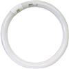 REER Watt 22 Watt, CONFEZIONE 1 *** Lampadina circolare trifosforo fluorescente luce bianca 6500k