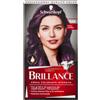 Schwarzkopf Brillance 888 Viola Londra Crema Colorante Intensiva Con Olio Nutriente
