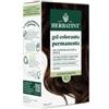Herbatint Antica Erboristeria Herbatint 4d Castano Dorato 170 Ml
