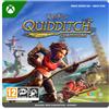 Warner Bros Games Harry Potter Campioni di Quidditch;