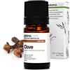 Aroma Labs - Maggiorana Silvestre BIO - Olio Essenziale Chemiotipizato e Certificato AB/Cosmos - 5 mL