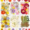 Resiners Fiori Secchi, Resiners 174 Pezzi Fiori Pressati per Resina, Sapone, Candele, Scrapbooking & Biglietti - Set di Fiori e Foglie Naturali Essiccati per Fai-da-te, Artigianato & Decorazioni Gioielli