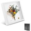 Cornice 3D 20x20 Cm Bianca - Per Fiori Secchi, Foto E Ricordi | Profondità 4.4 Cm, Con Vetro - Foto 8