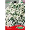 Germisem Pure White Semi di Statice 0.5 g