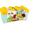 Lego Duplo My First 10984 Giardino biologico
