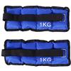 Wakects Peso Caviglia, 1 Paio Pesi Regolabili da 2 kg/3Kg/5Kg, Peso Polso Durevole per Fitness, Esercizio Fisico, Passeggiate, Jogging, Ginnastica, Aerobica, Palestra, Blu (2Kg)
