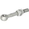 Alberts 417284 Vite a occhiello con accessori, adatta a bandelle per cancelli, zincata a caldo, Filettatura M20, Lunghezza 150 mm