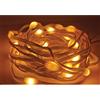 Homcloud Catena luci wi-fi bluetooth outdoor RGB IC 10M F10M Homecloud