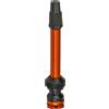 CAMPABROS VALVOLA UST 50MM DOPPIO FORO Tubeless