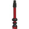 CAMPABROS VALVOLA UST 50MM DOPPIO FORO Tubeless