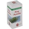 Kos PINO PUMILIO OLIO ESSENZIALE 20 ML
