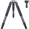 INNOREL LT324C Systematic Treppiede in Carbonio 146cm,Carico Massimo 30kg,Tubo Massimo 32mm 4 Sezioni,con Adattatore 75mm/Borsa,Treppiedi Professionale Impieghi Gravosi Ultra Stabile(LT324C+BL75N)