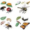 JOKFEICE Giocattoli Insetti 16 Pezzi - Ciclo di Vita di Farfalla, Ape, Libellula e Coccinella - Figure Educative in Plastica, Modelli d'Azione per Progetti Scientifici, Regalo Bambini