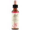 Bach Sweet Chest Bach Original Rimedio floreale emotivo 20 ml