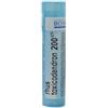 Boiron Rhus Toxicodendron 200CH Omeopatico Monodose Globuli