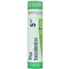 Boiron Rhus Toxicodendron 5 Ch 80 Granuli 4 g