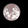 Danese Milano Carta della Luna Serigrafia
